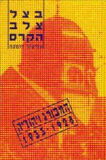 In the Shadow of the Swastika - The Case of Hamburg&#39;s Jews
